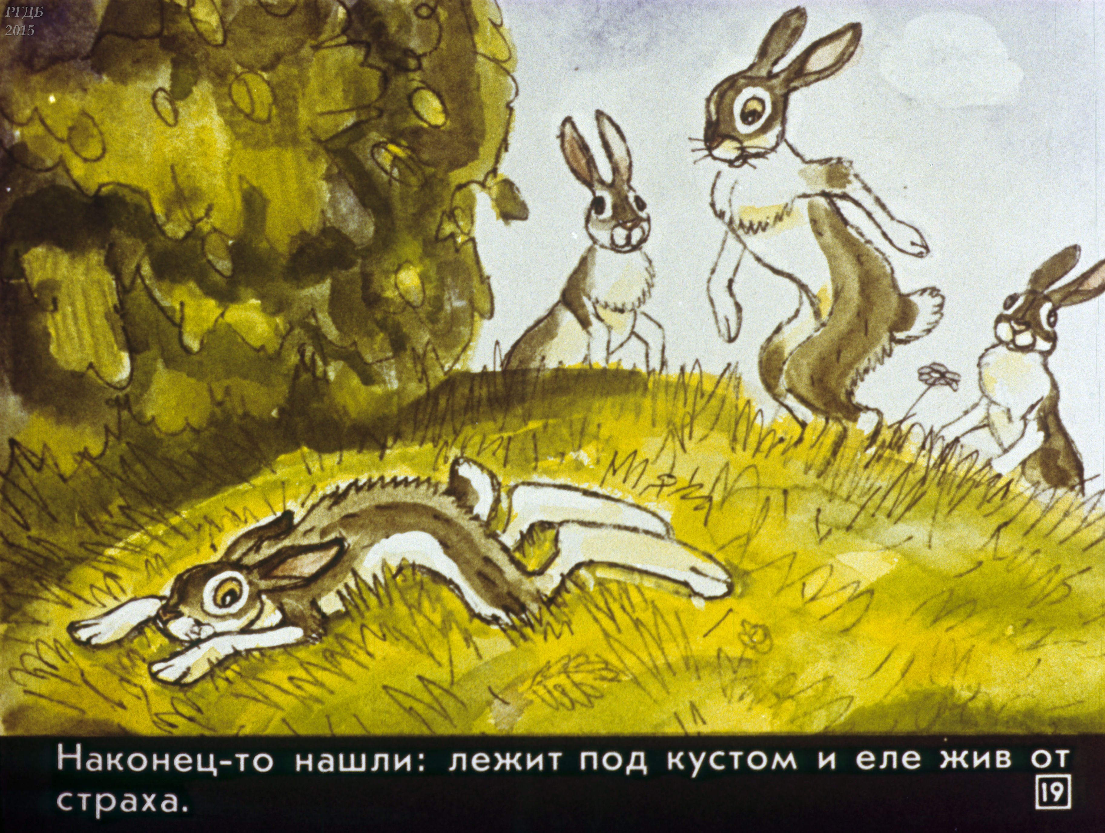 Собрались старые зайцы сбежались маленькие. Храбрый заяц мамин Сибиряк. Мамин Сибиряк хвастливый заяц. «Про зайца-длинные уши…» Д. мамин-Сибиряк.