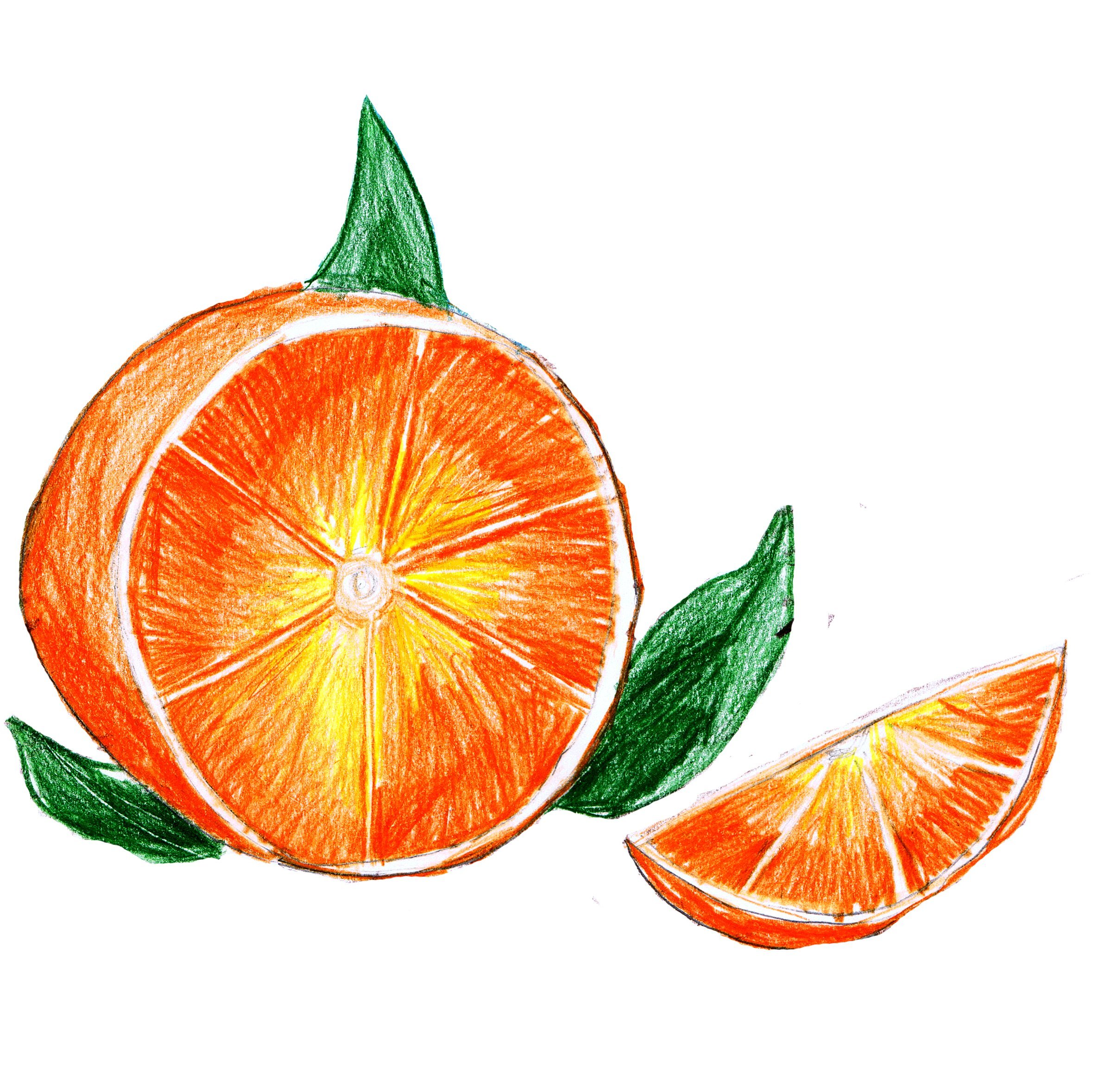 Мандарин легкие. Апельсин акварелью. Апельсин рисунок. Апельсин для рисования. Апельсин цветными карандашами.