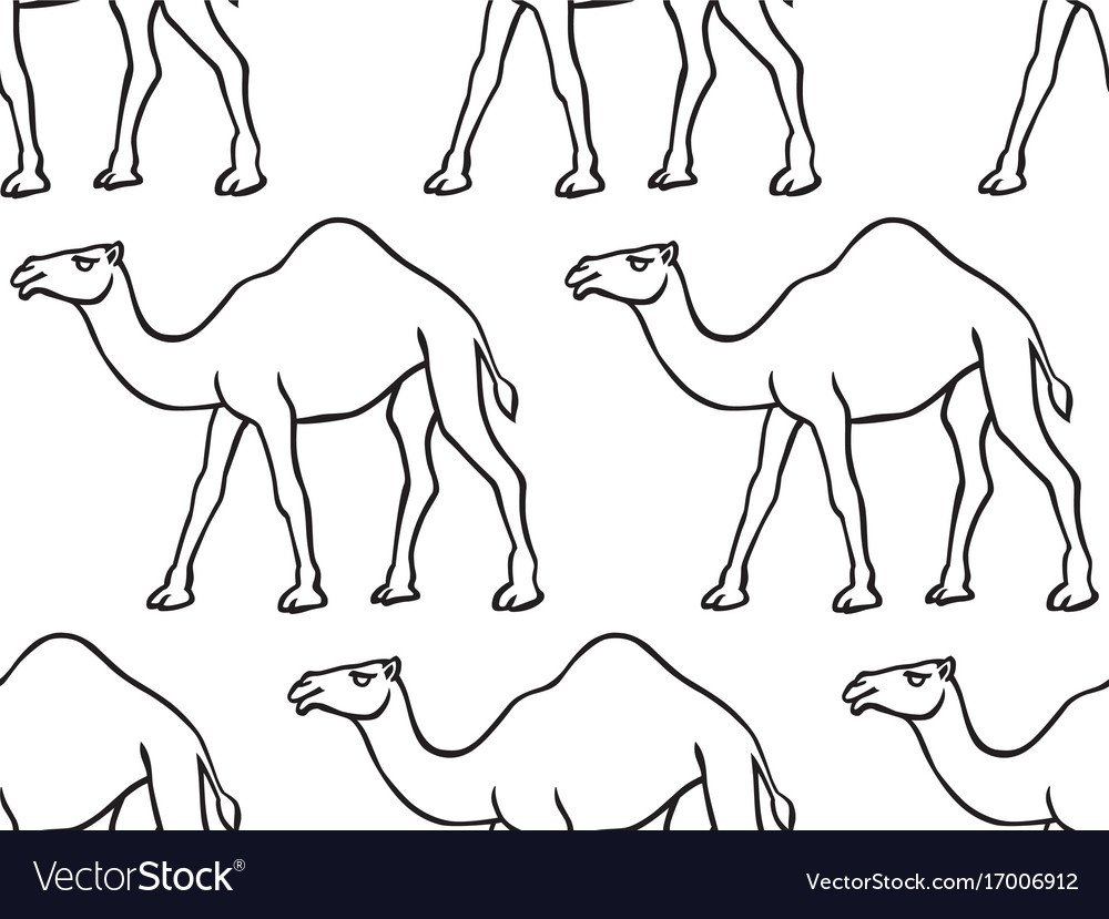 Верблюд рисунок карандашом - 62 фото