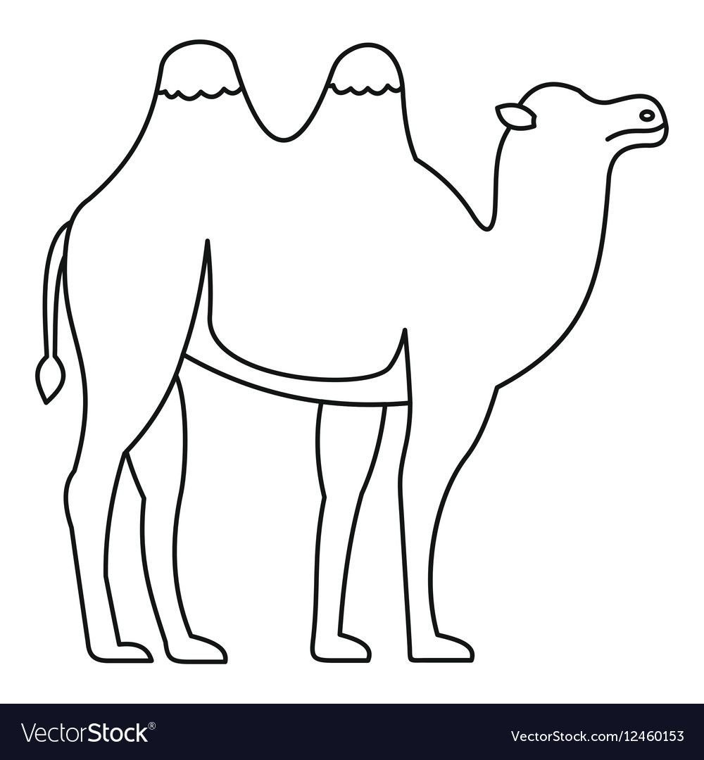 Верблюд рисунок карандашом - 62 фото