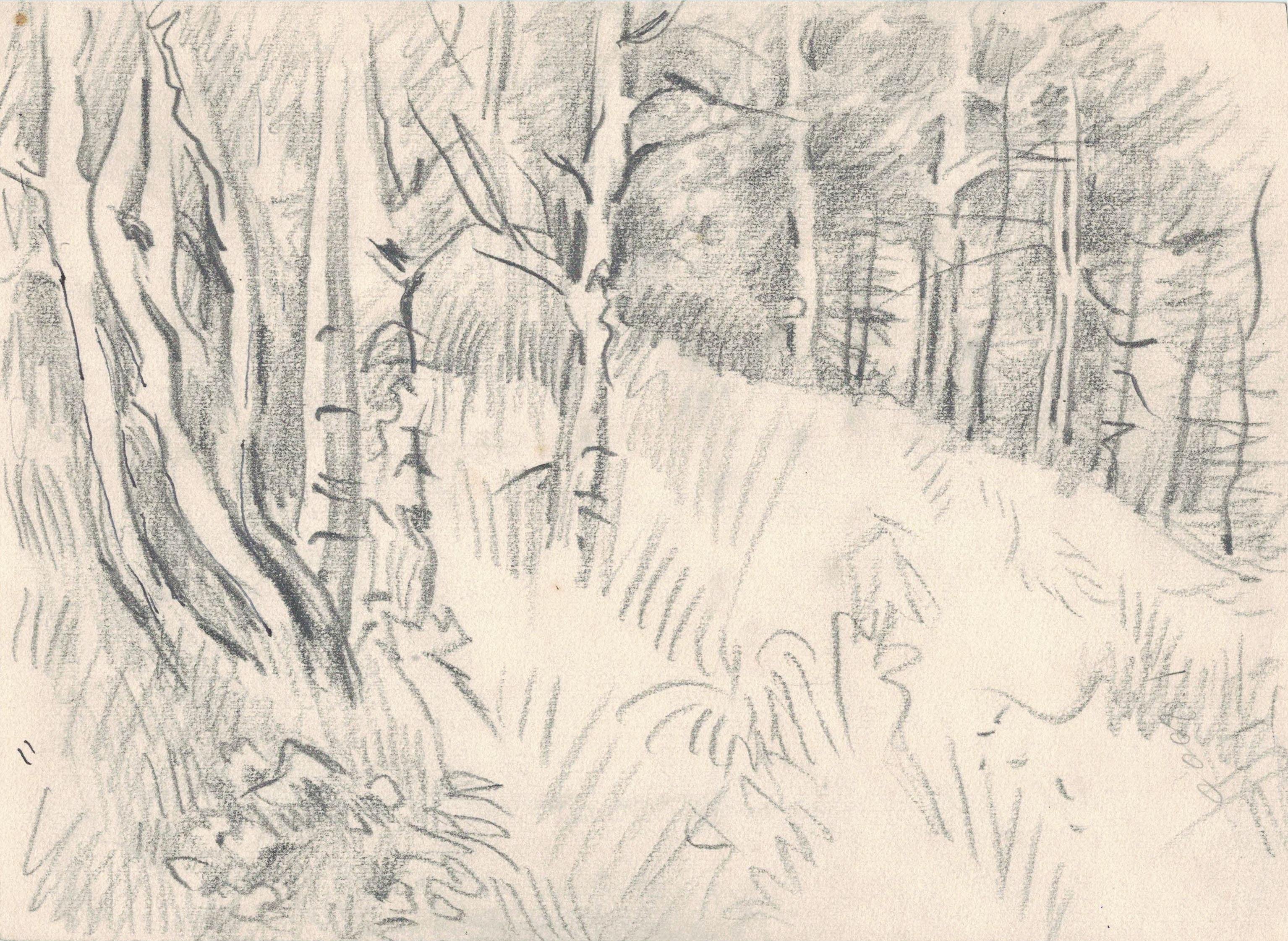 Иллюстрация к рассказу васюткино озеро карандашом. Зарисовки карандашом иллюстрации Васюткино озеро. Васюткино озеро рисунок карандашом. Рисунок к произведению Васюткино озеро. Рисунок Васюткино озеро раскраска.