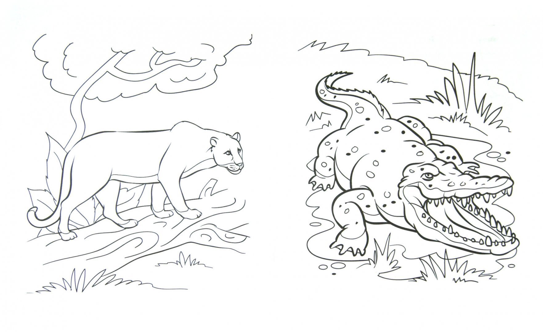 Змея раскраска. Пресмыкающиеся крокодил. Змея раскраска для детей. Рисунки опасных животных. Змея карандашом.