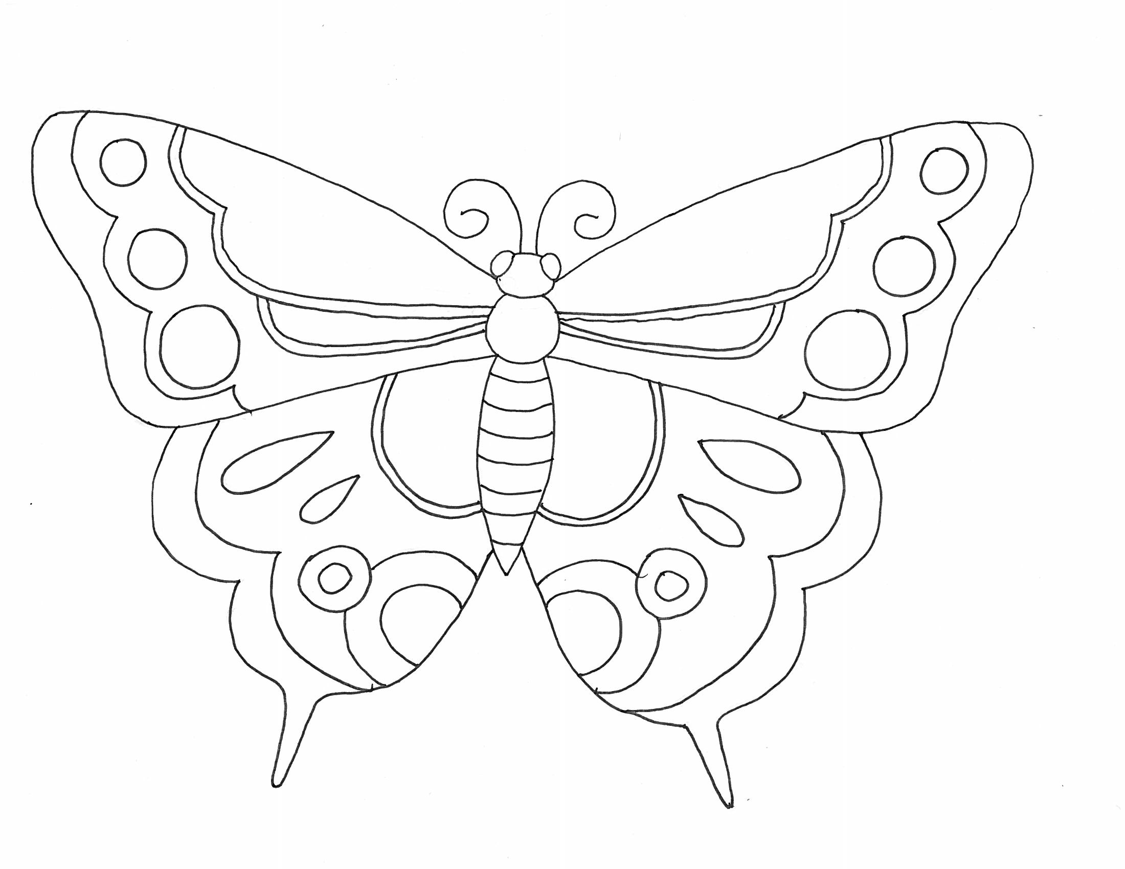 Картинки для рисования бабочки