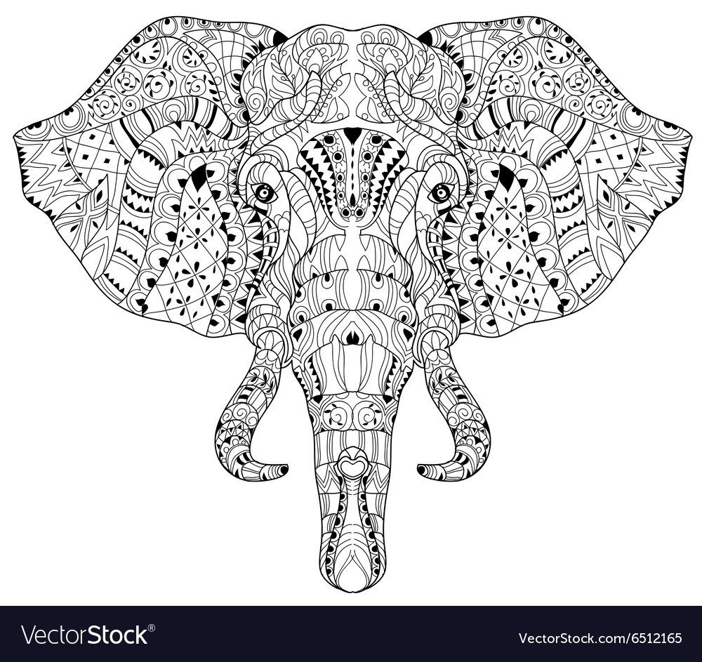 Строение головы слона