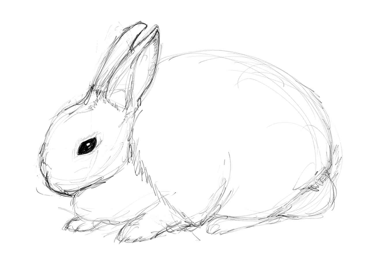 Нарисовать кролика карандашом