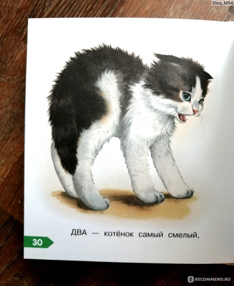 В каких произведениях герой котенок. Л Н толстой котенок рисунок. Рисунок к рассказу котенок. Рисунки к рассказу котенок л.н.толстой. Рассказ котенок.