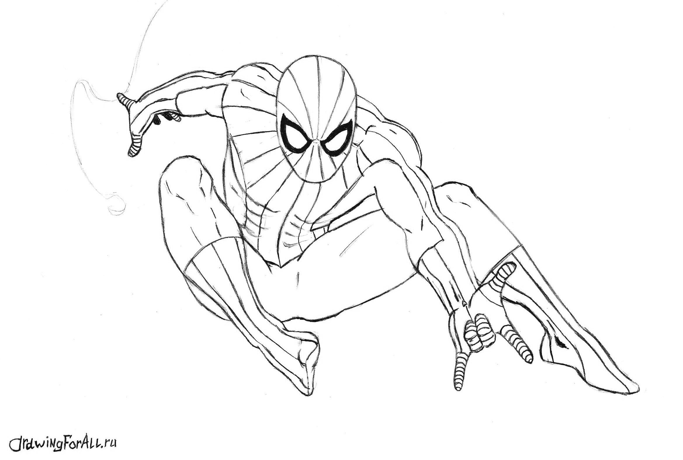 Человек паук нарисовать карандашом. Человек паук рисунок. Человек паук для срисовки. Человек паук карандашом. Картинки для срисовки человек паук легкие.