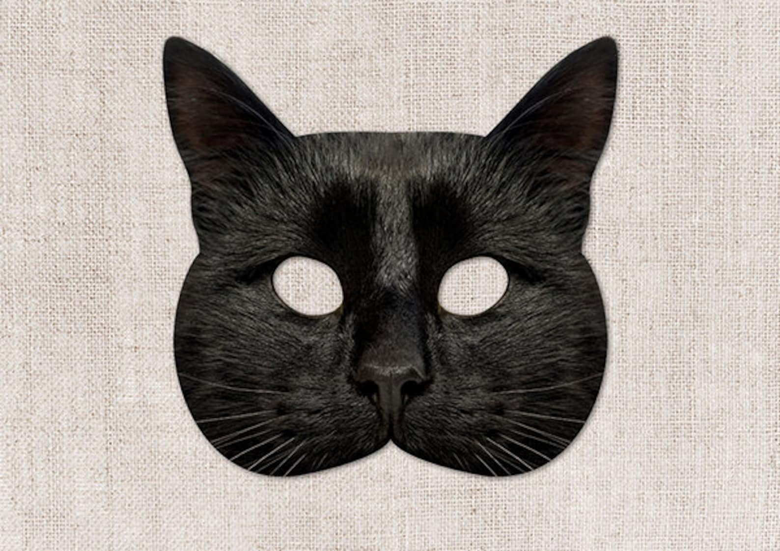 Кто под маской кота в 5. Маска кошки. Маска черного кота. Реалистичная маска кота. Котик в черной маске.