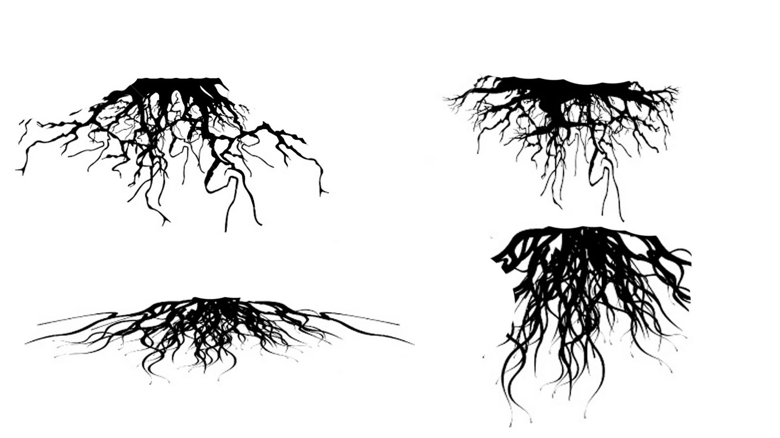Корни черно белая. Корни силуэт. Корневая система деревьев. Корни эскиз. Корни вектор.