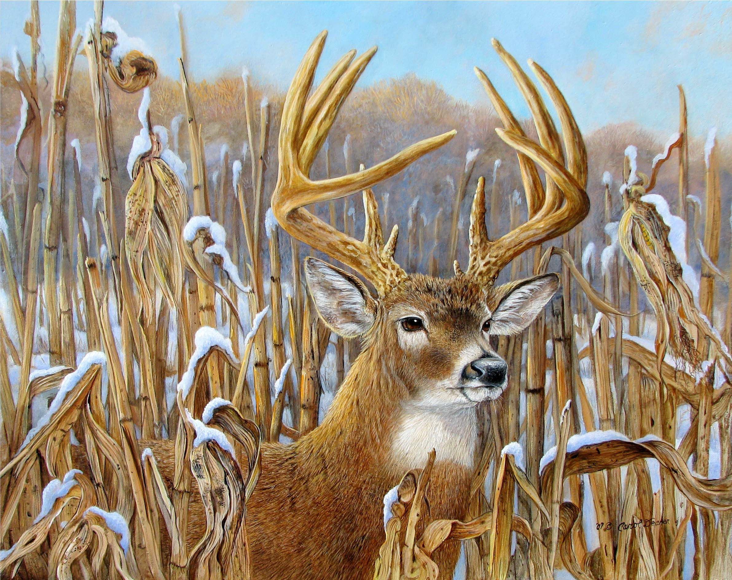 Олень как перенести. Северная олениха тундра художник. Пейзаж с оленем. Олень живопись. Картины с животными.