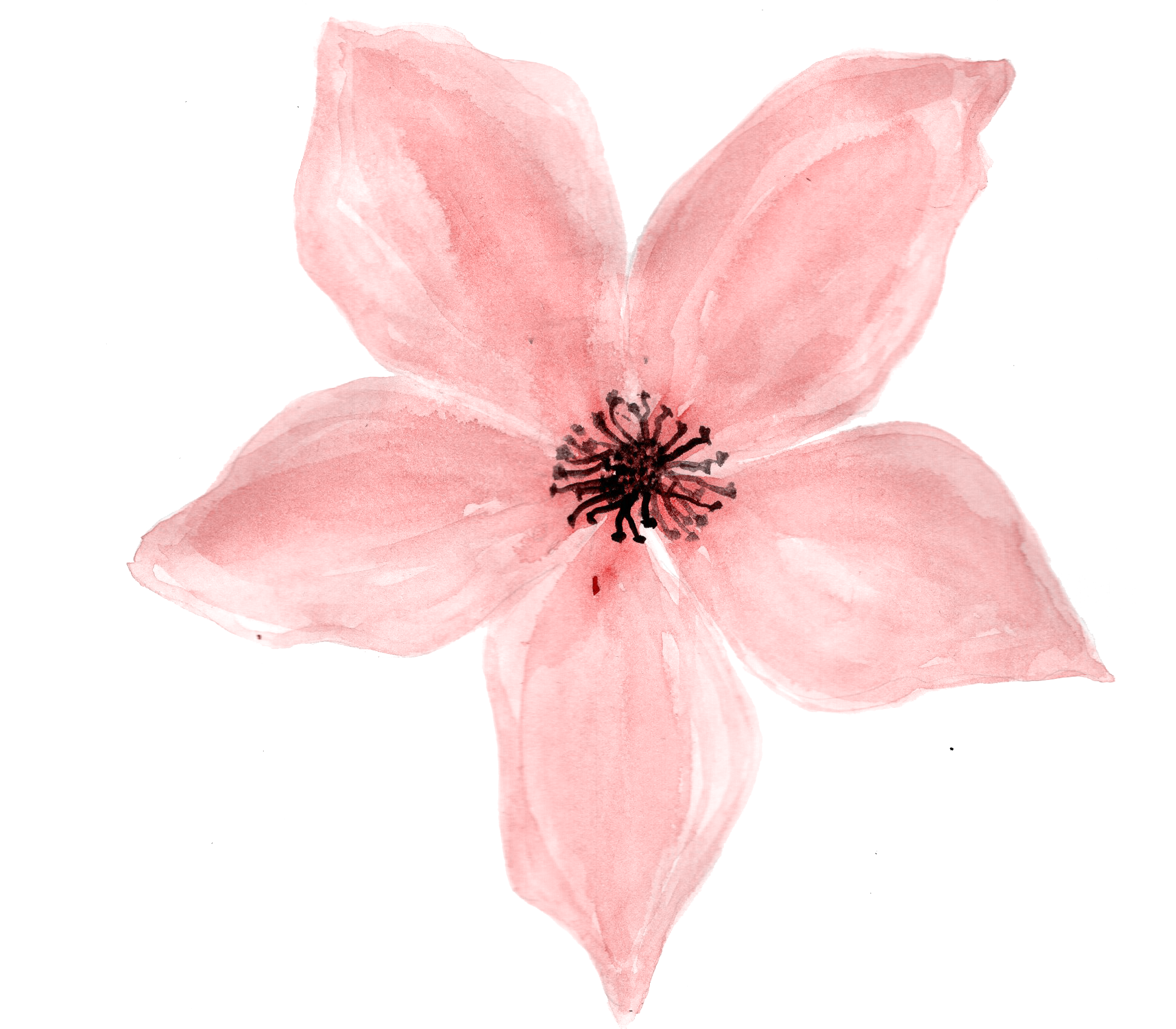 Нарисовать розовый цветок