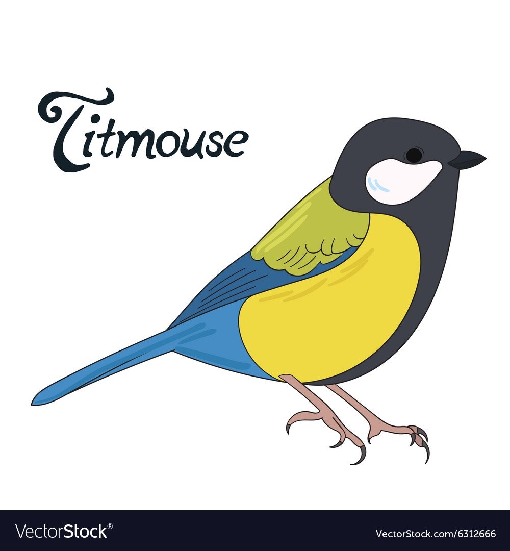 Синица рисунок вектор