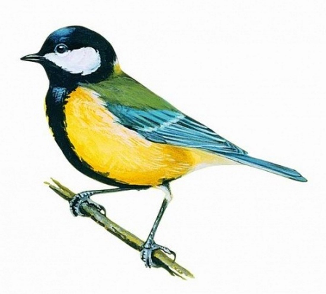 Синичка стилизованная