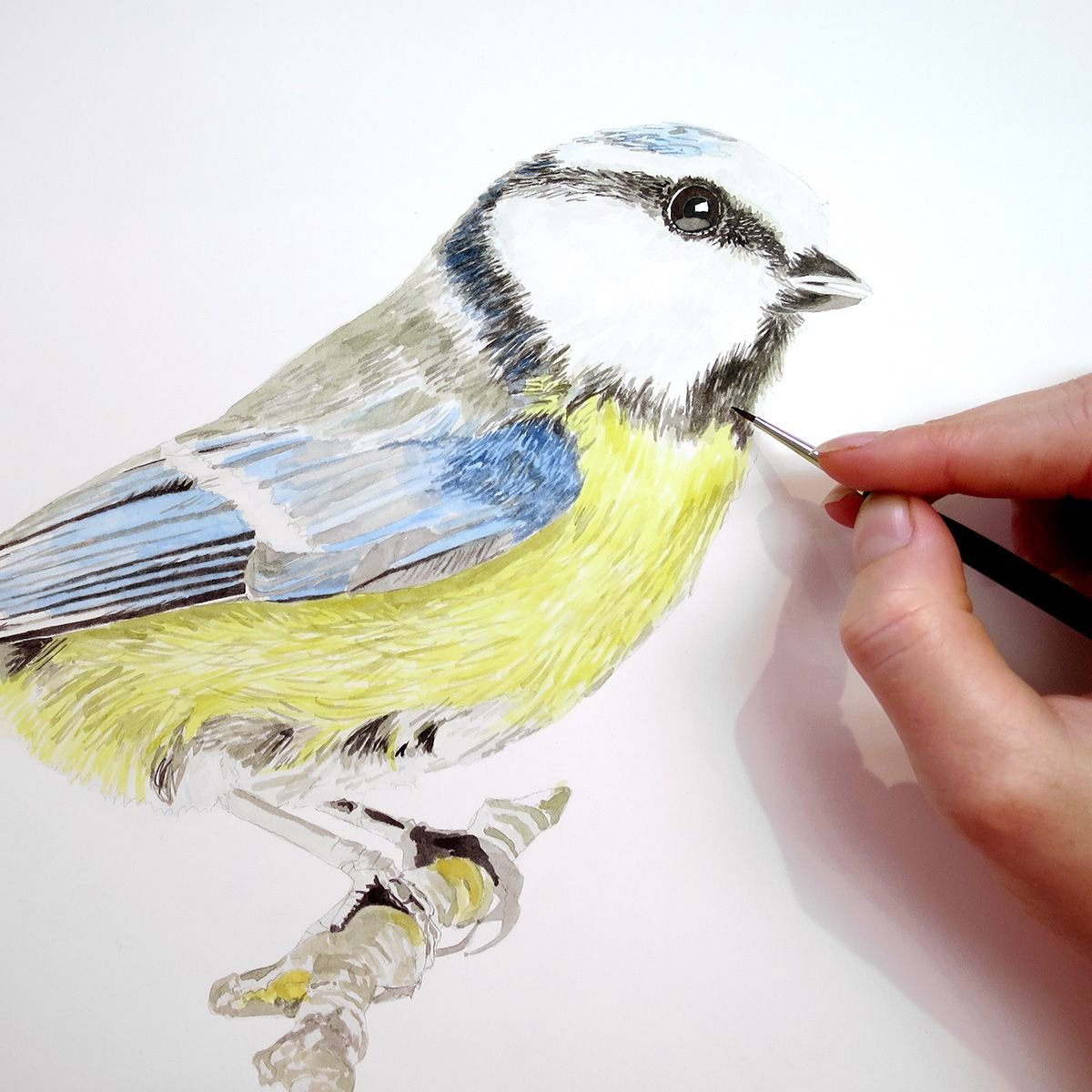 Синица для детей