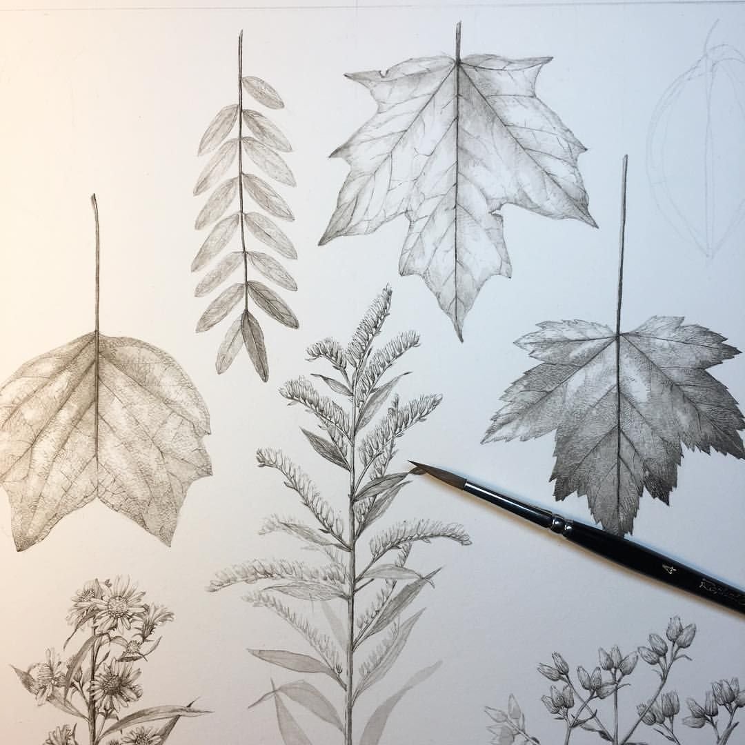 Рисунки карандашом серые на октябрь в школу