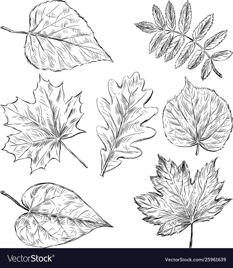 Раскрашивание осенних листьев акварелью