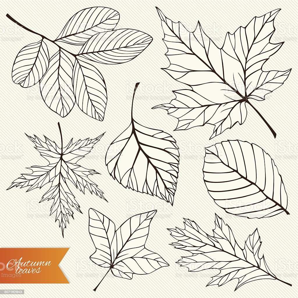 Листочки скетч