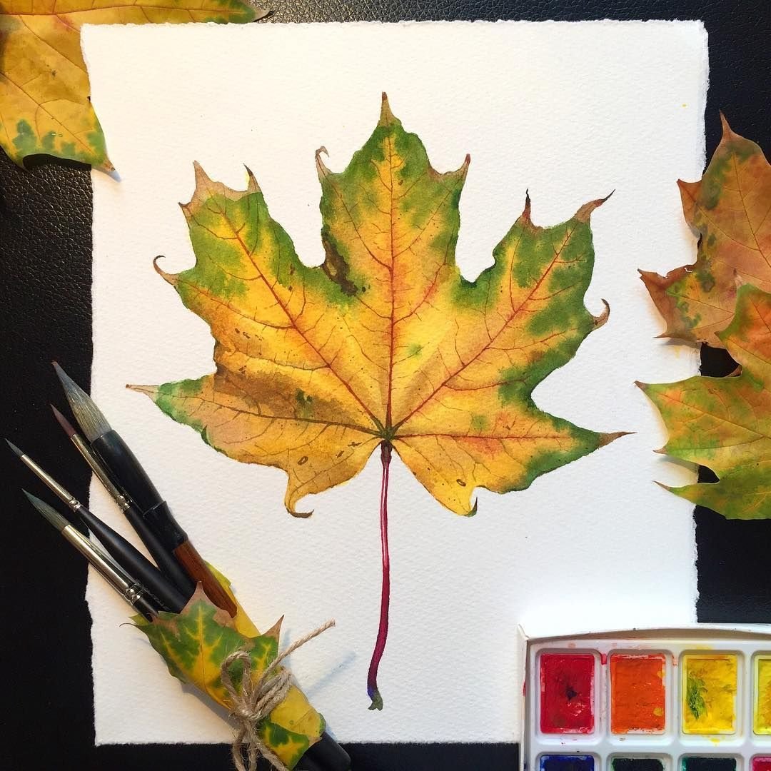 Осенние листья черно белые картинки