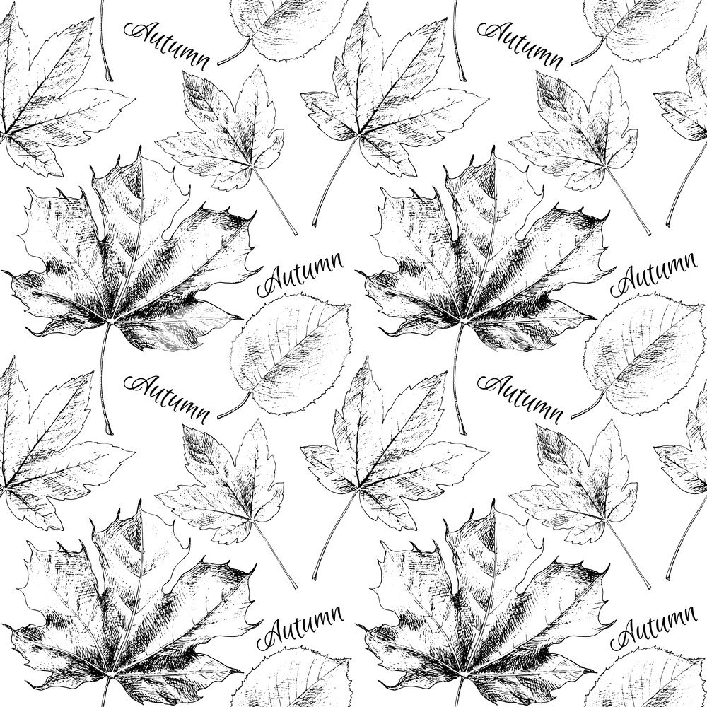 Осенние листья в графике