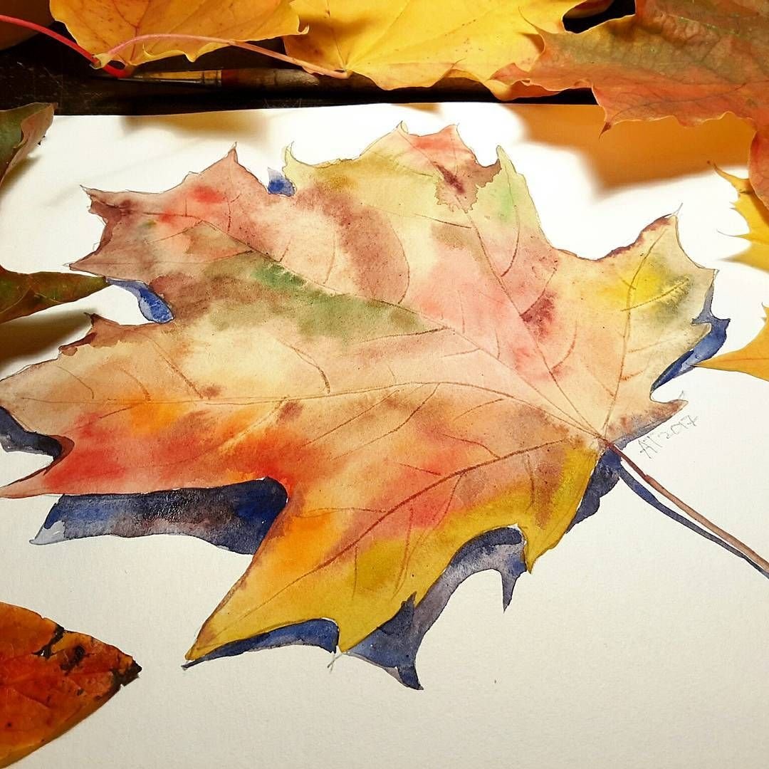 Листья рисунок