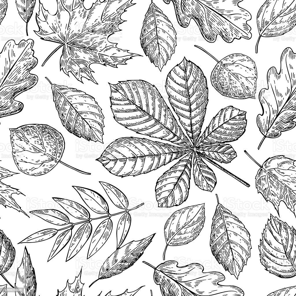 Осенние листья акварель