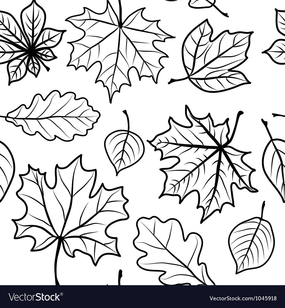 Гербарий раскраска для детей