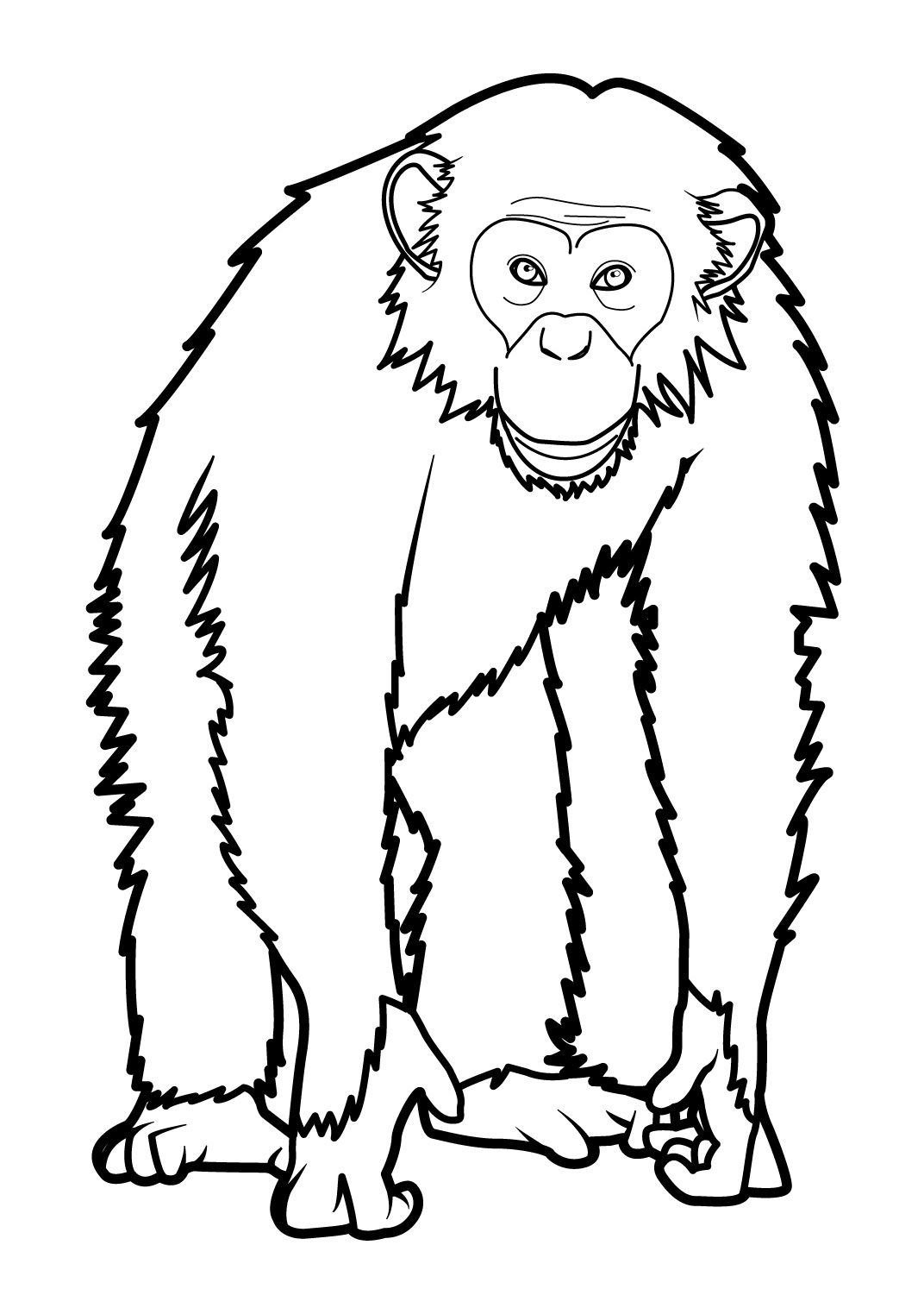 Рисунки обезьянки для срисовки - 59 фото