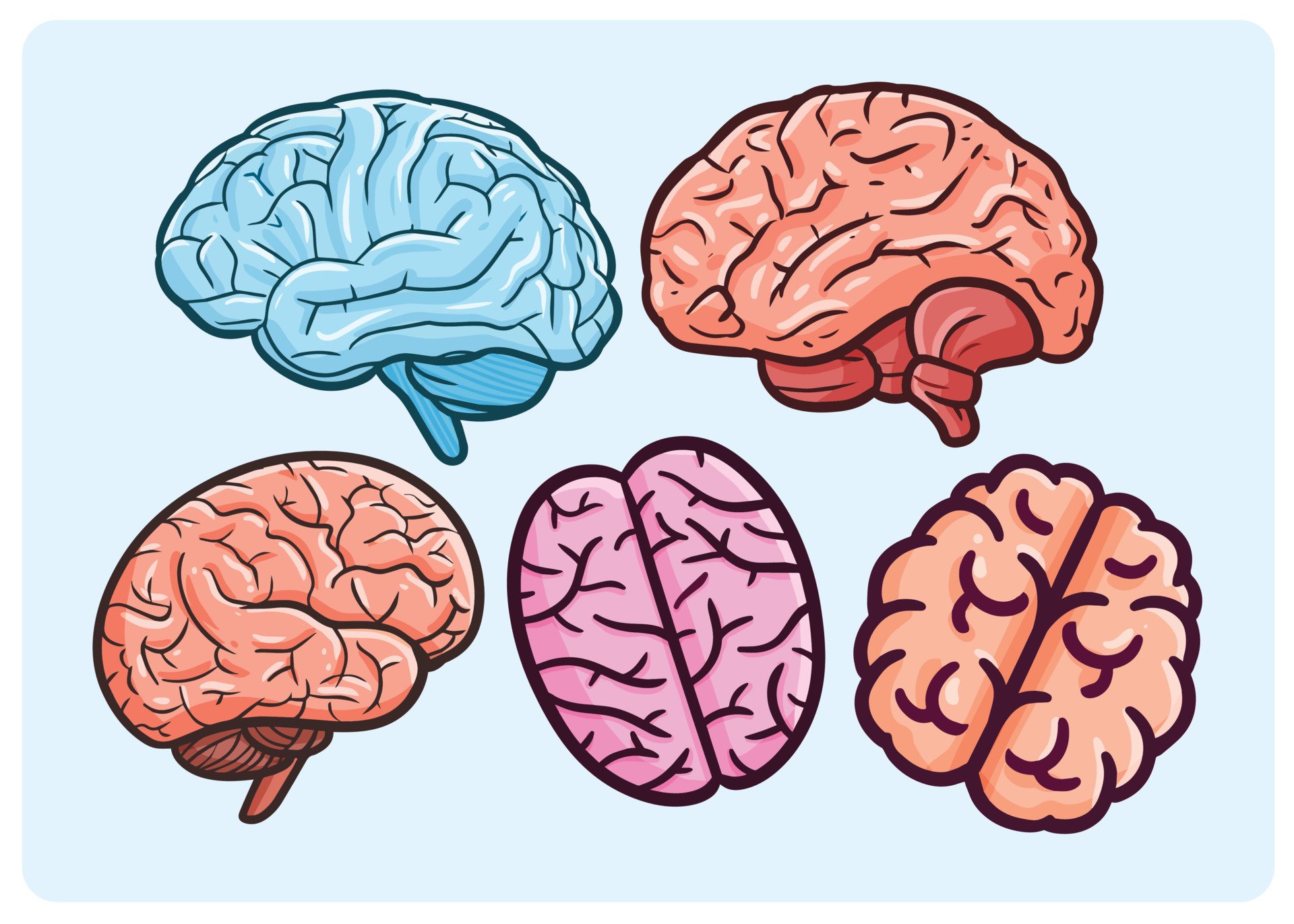 Fun brain. Мозг вектор. Мозг мультяшный стиль. Мозг мультяшный. Мозг в мультяшном стиле.