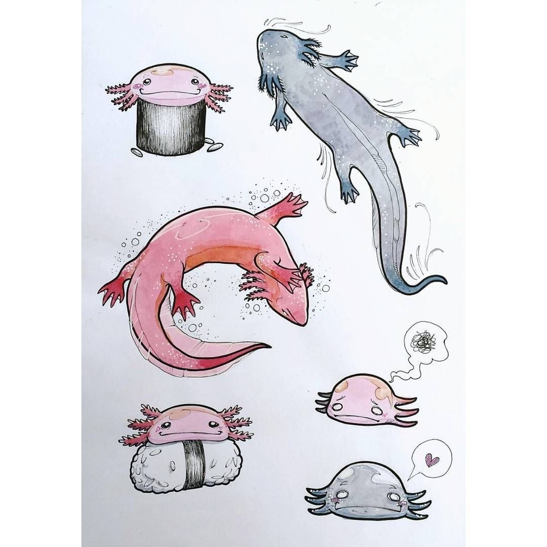 Аксолотль рисуночек