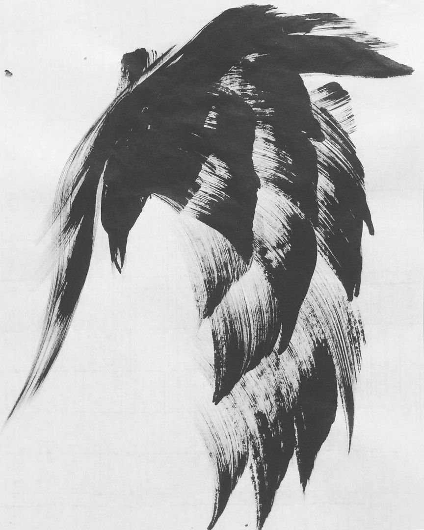 Перо вороны рисунок - 70 фото