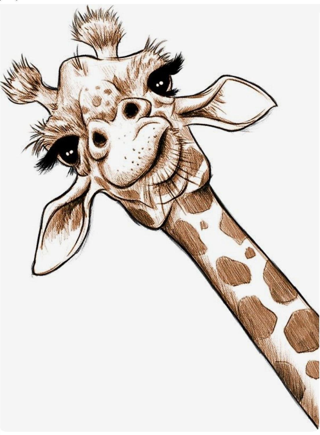 Жираф скетч