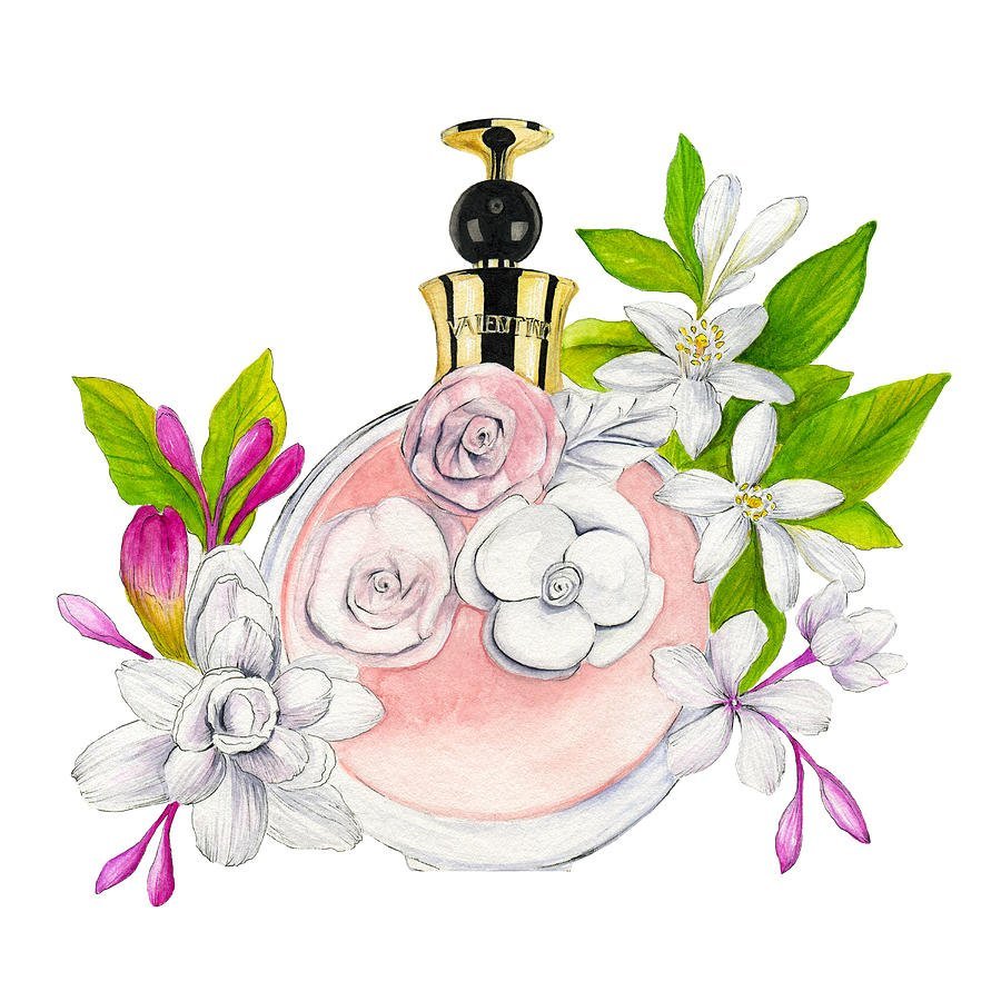 Духи зарисовка