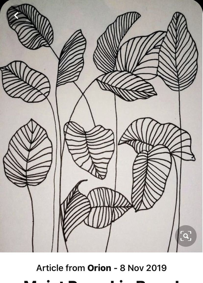 Лист монстеры для вырезания