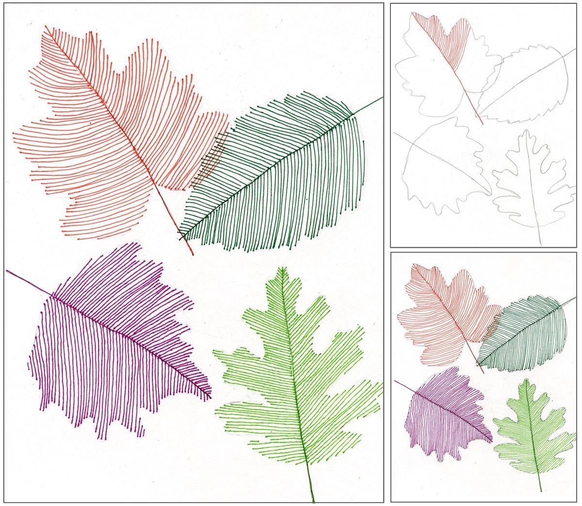 Листья дерева в развороте