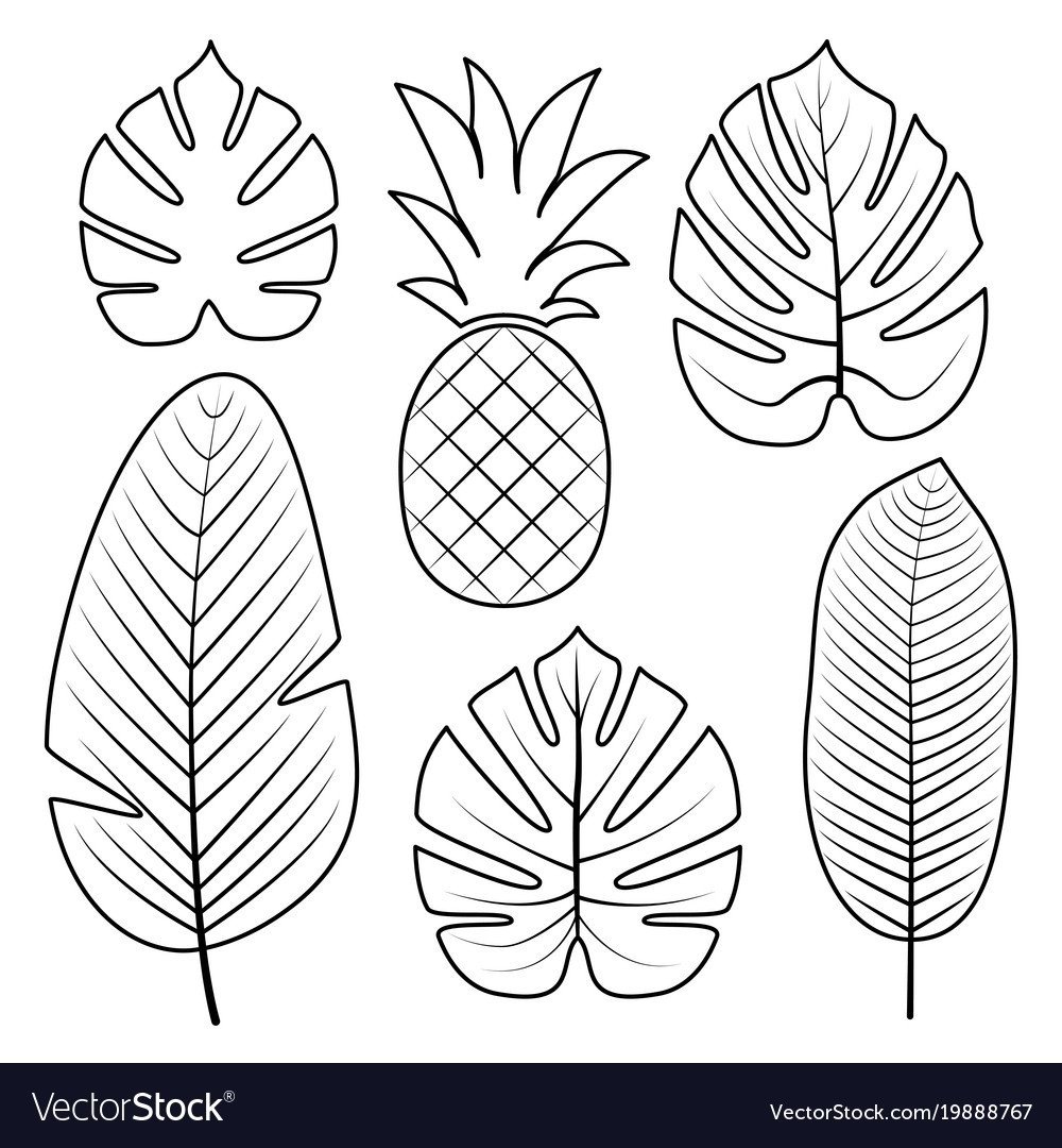 Эскиз каштанового листа