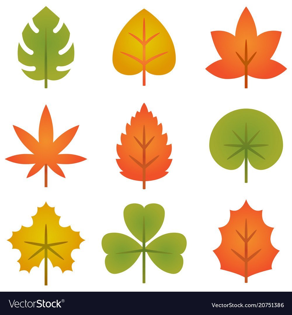 Штампы из природного материала