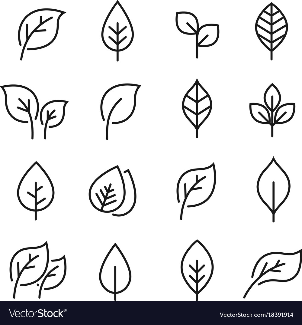 Рисунок листьев разной формы