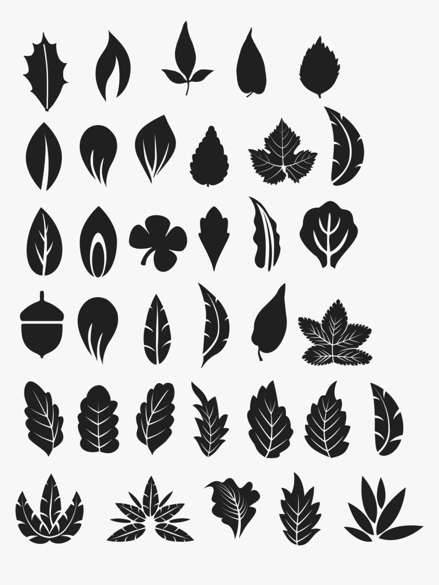 Цветные контуры осенних листьев