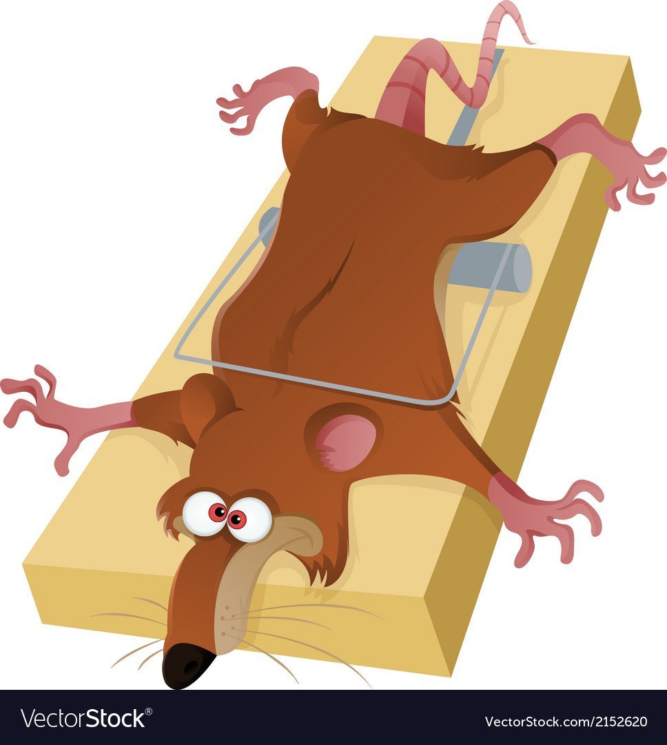 ЛОВУШКА для крыс