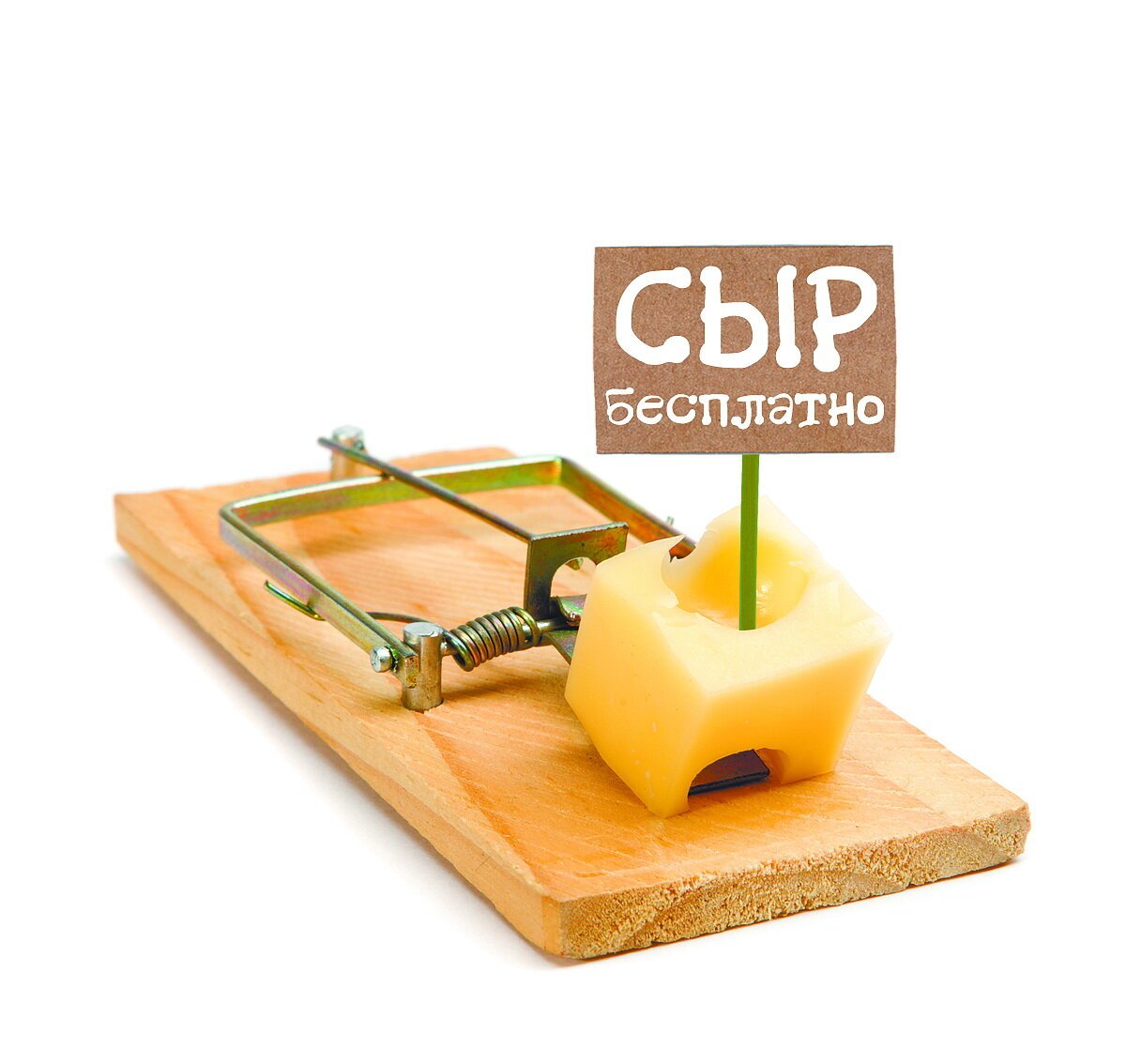 Бесплатный сыр только в мышеловке