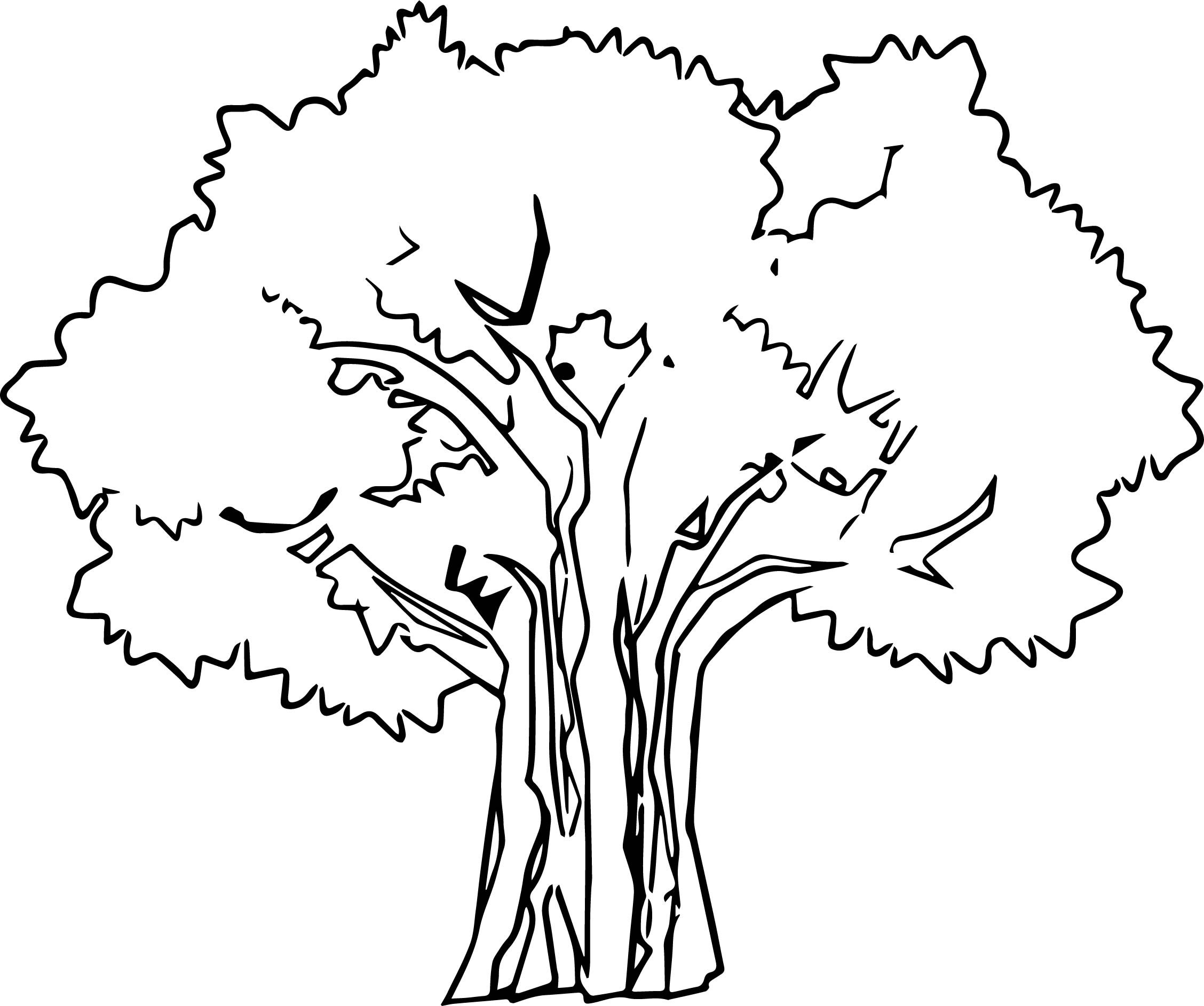 Скопировать дерево. Дерево раскраска для детей. Дуб раскраска. Дерево контур. Дерево шаблон.