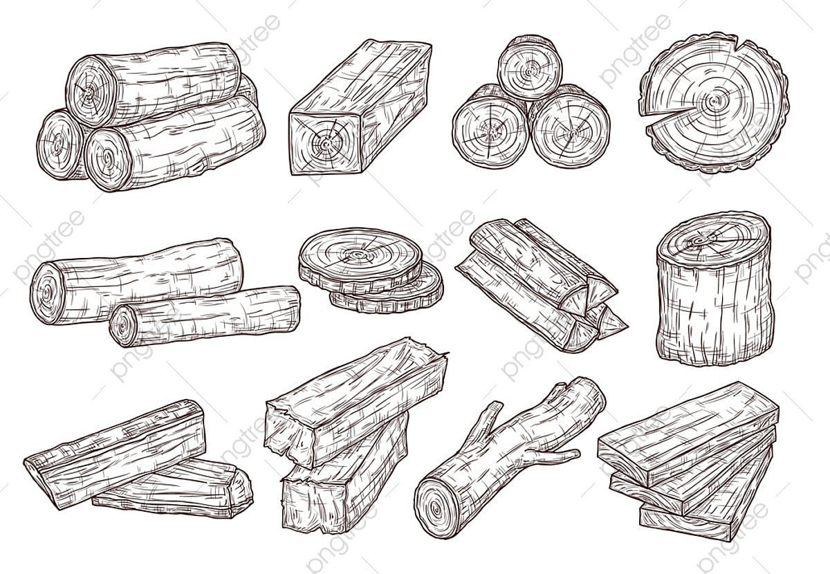 Бревно раскраска