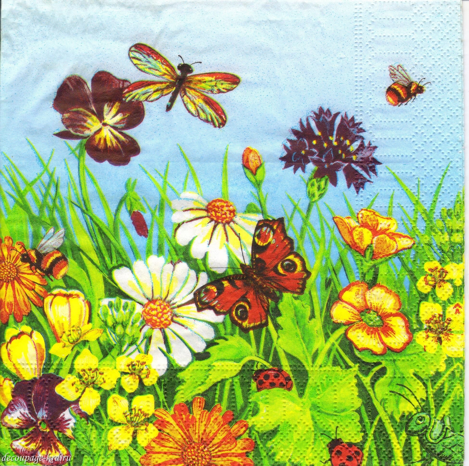 Цветы лета рассказ. Цветочный луг с насекомыми. Бабочки на лугу. Цветы на лугу для детей. Летний луг с цветами и насекомыми.