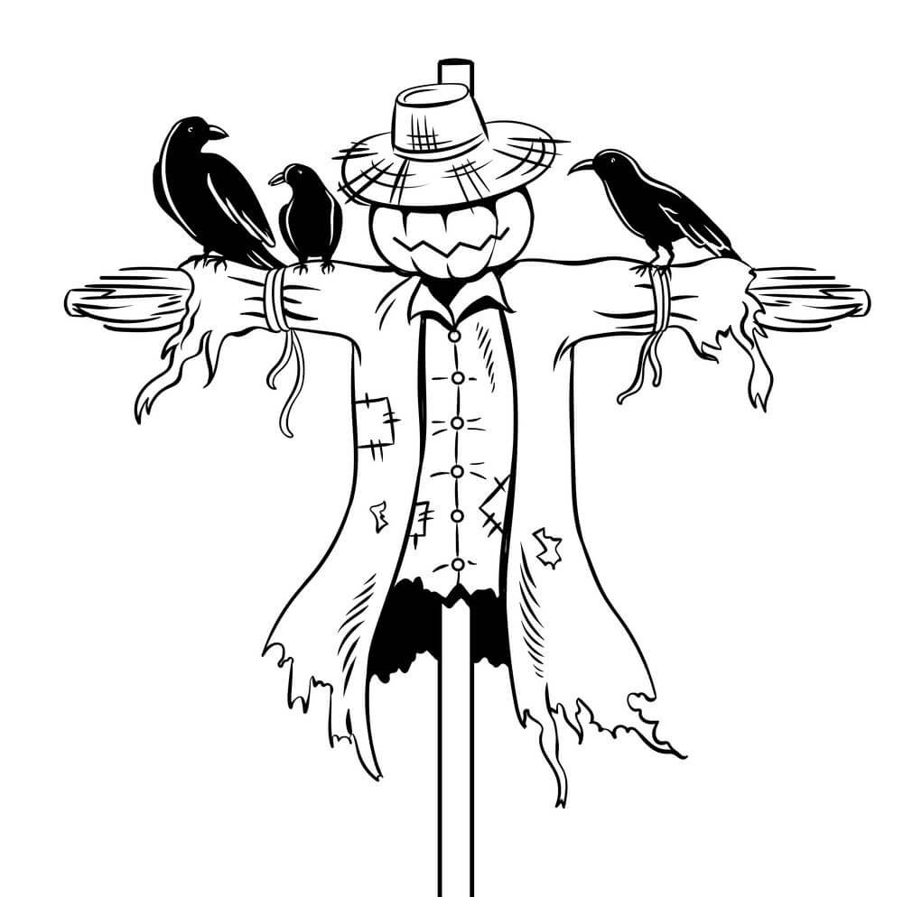 Пугало в осеннем огороде