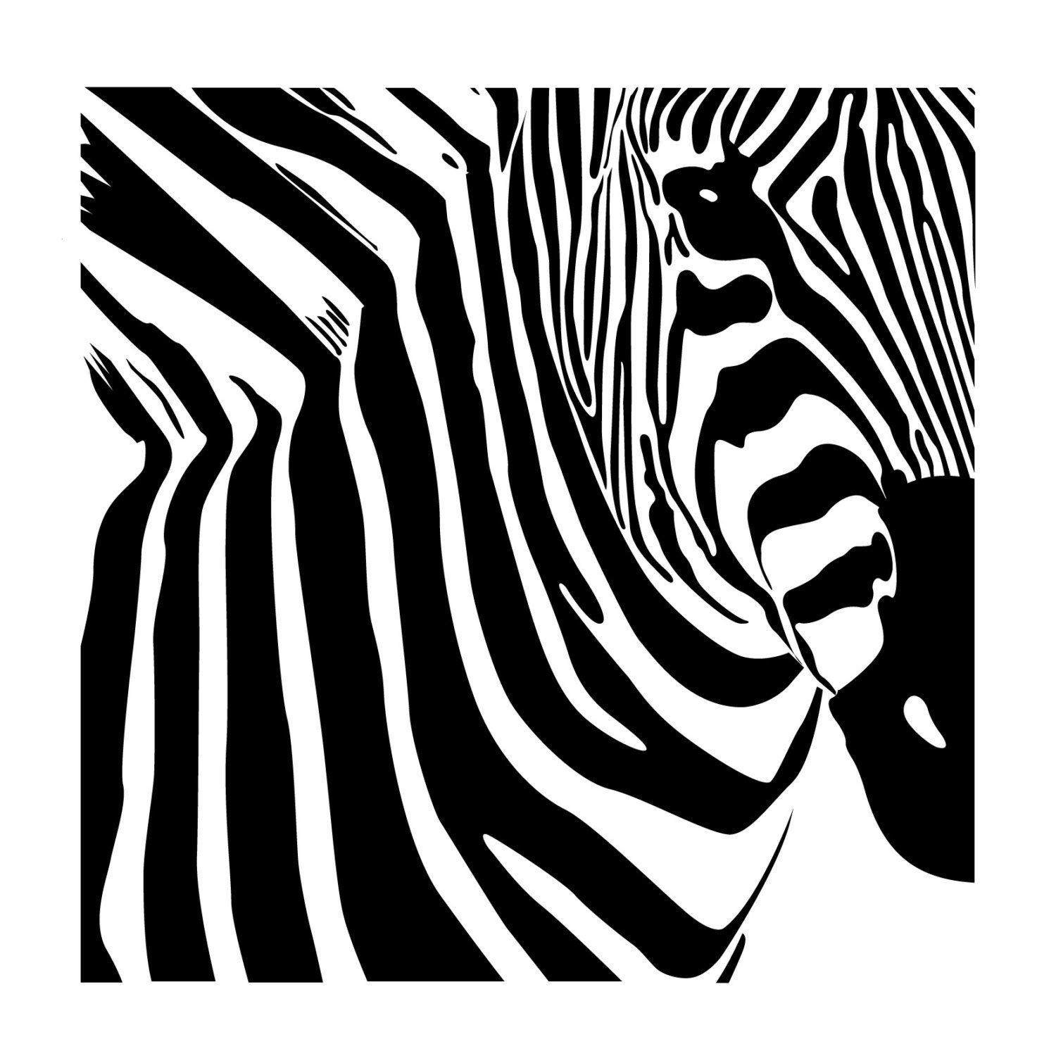 Зебра трафарет - 74 фото