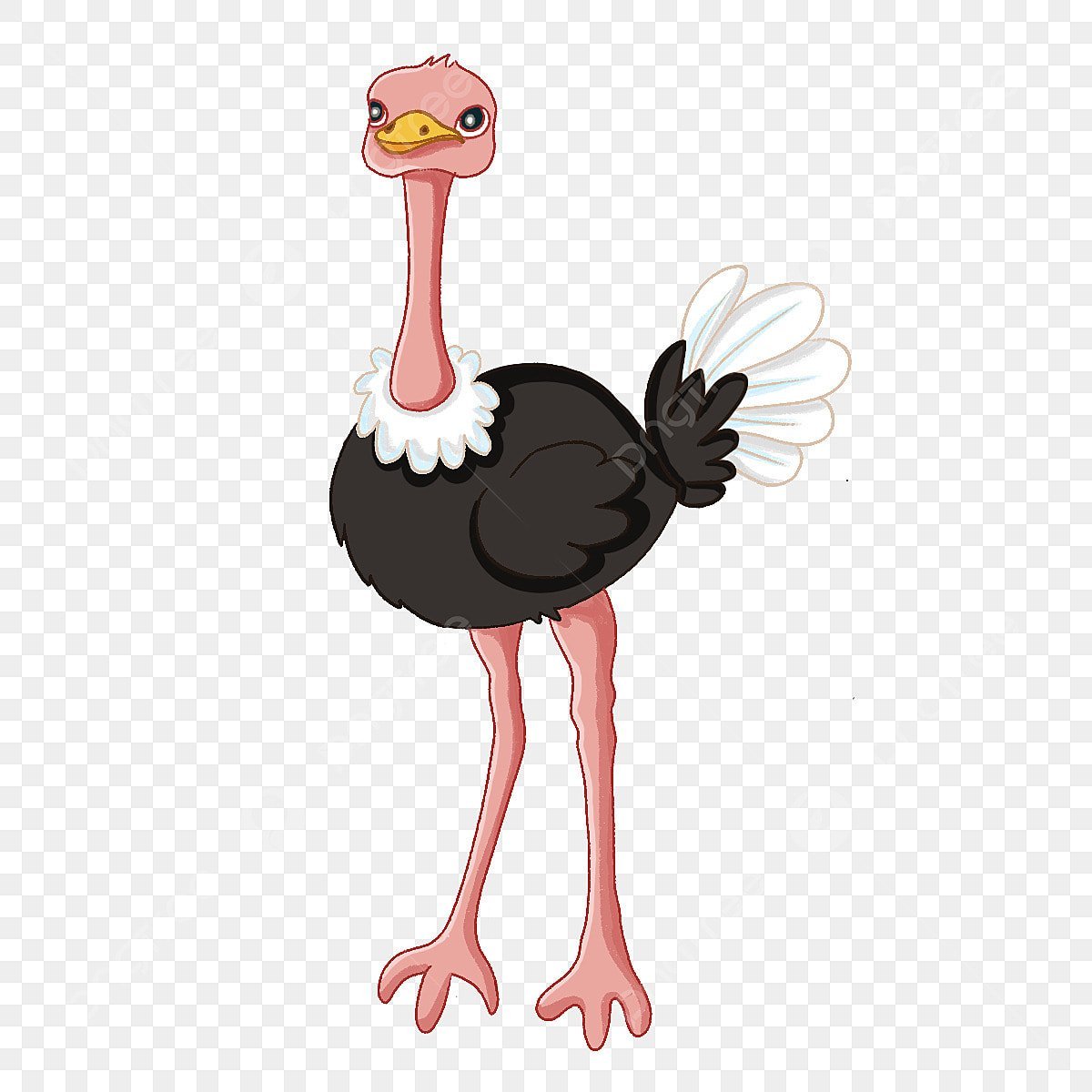 Страус рисунок