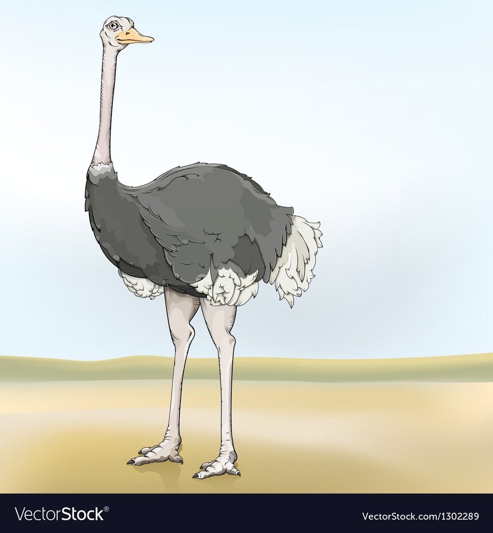 Страусята для детей