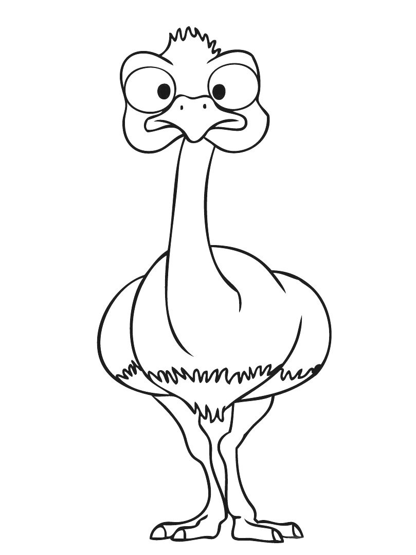 Страус и черепаха рисунок