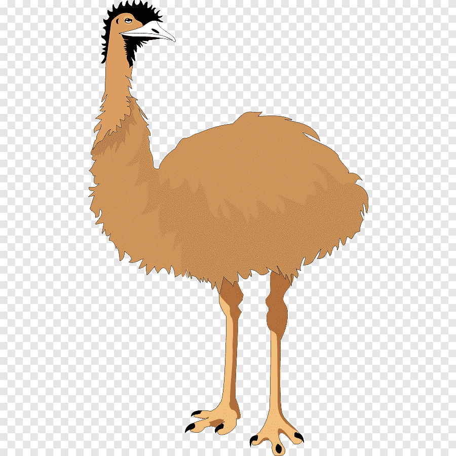 Страус раскраска