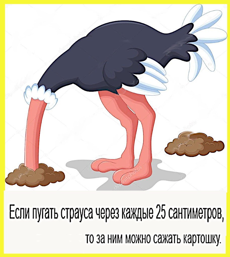 Раскраска смешной страус